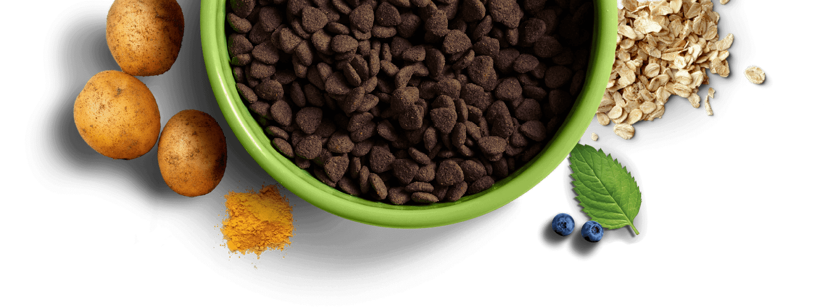 YORA small breed